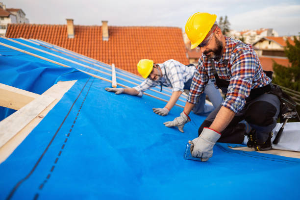 Best Emergency Roof Repair Services  in Duncan Falls, OH