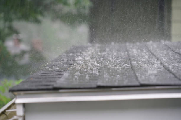 Best Roof Insulation Installation  in Duncan Falls, OH